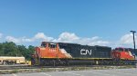 CN 5686